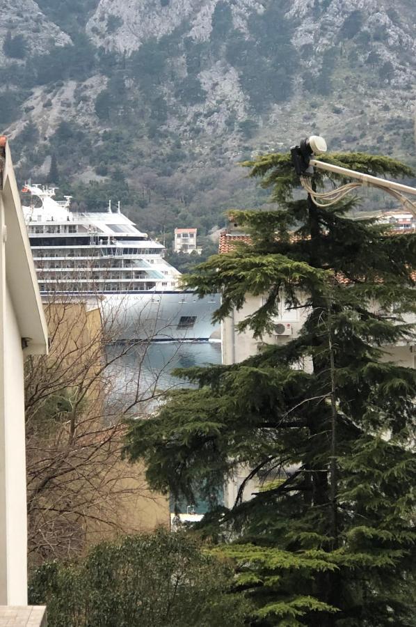 Unico Apartman Kotor Exteriör bild